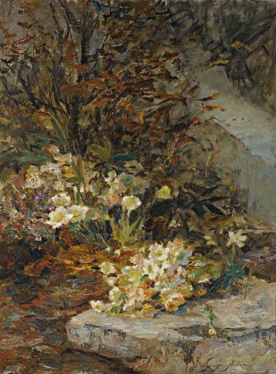 Ellebori da Olga Wisinger Florian